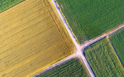 Échange de jouissance de parcelles agricoles : quelles sont les règles ?